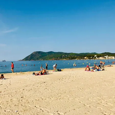 Vue D'exception 3 Min A Pied De La Des Sablettes * La Seyne-sur-Mer